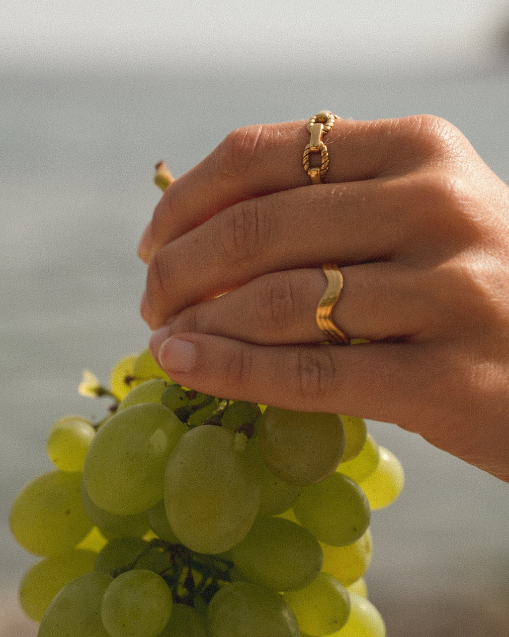 THE ELEKTRA RING