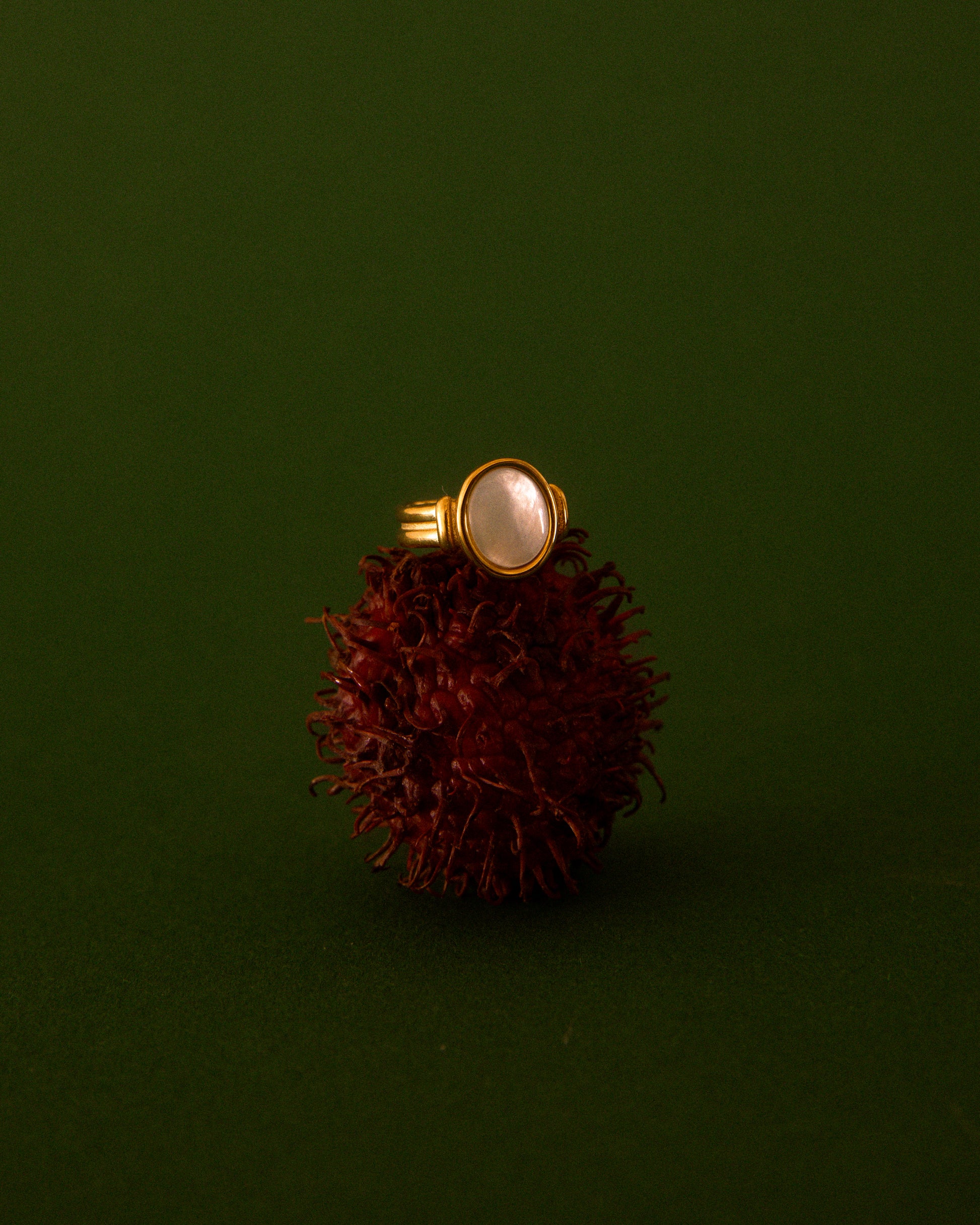 SIGNET KNOT RING